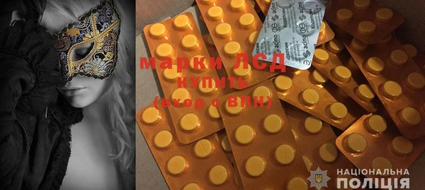 PSILOCYBIN Верея