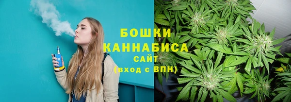 PSILOCYBIN Верея