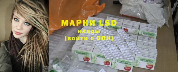 PSILOCYBIN Верея