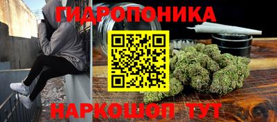 тгк Кудрово