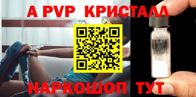 тгк Кудрово