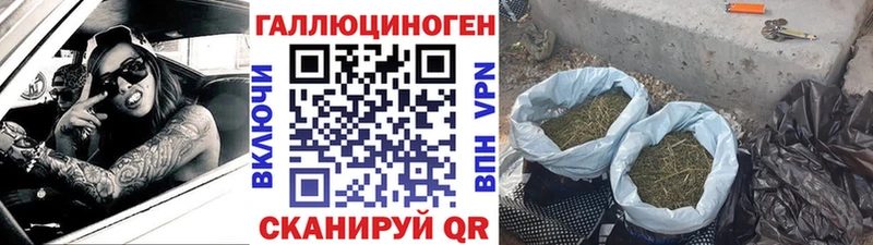 Галлюциногенные грибы мицелий  купить наркотик  Пятигорск 