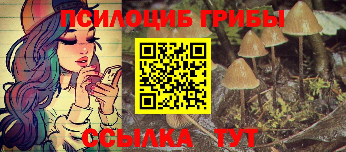Псилоцибиновые грибы GOLDEN TEACHER Пятигорск