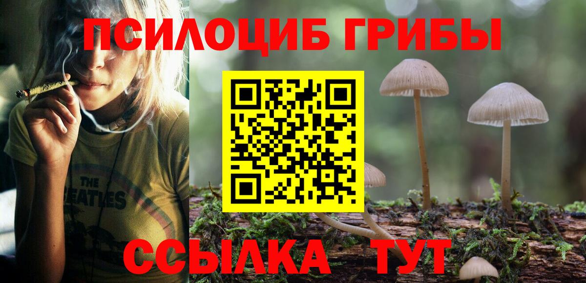 Псилоцибиновые грибы Psilocybe  Вход с VPN  Пятигорск  Псилоцибиновые грибы MAGIC MUSHROOMS 